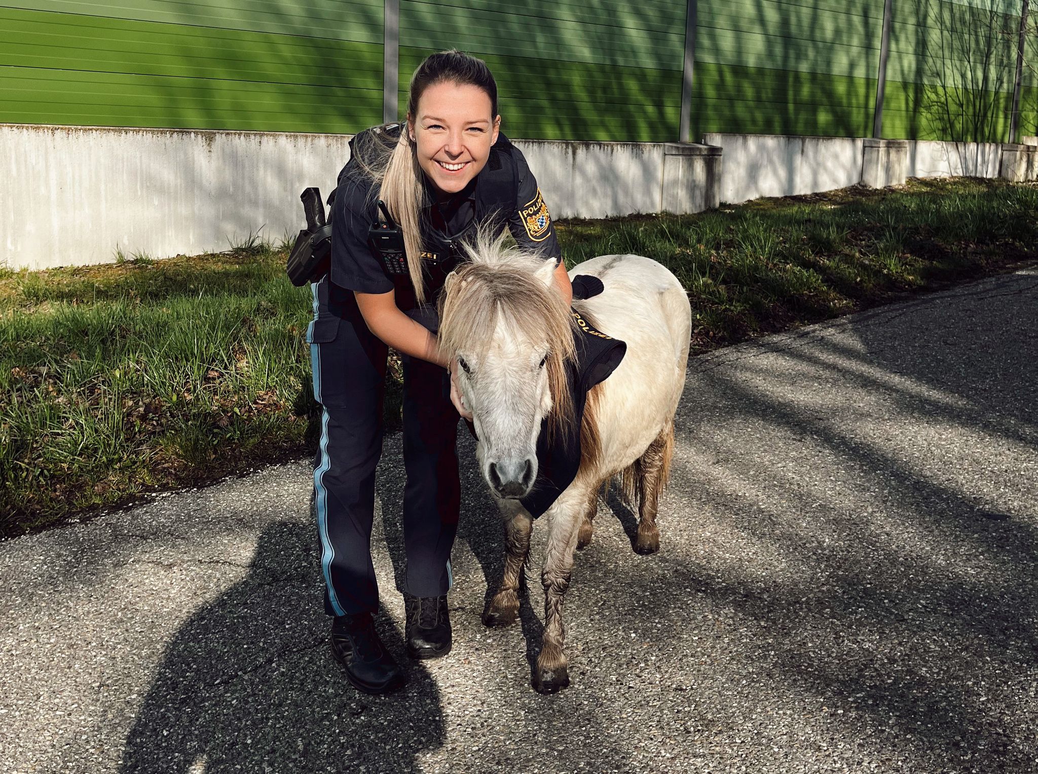 Kurioser Fall Polizei Stoppt Frau Mit Pony Im Pinken Pkw - 7dm1mvc
