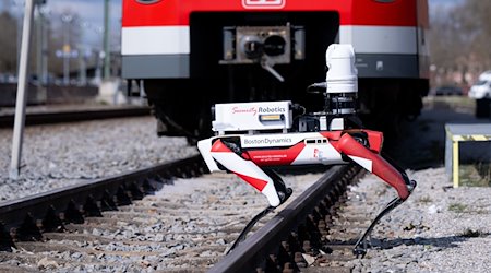 Der Roboter „Spot“ der Deutschen Bahn läuft bei einem Pressetermin zwischen abgestellten S-Bahnen entlang. / Foto: Sven Hoppe/dpa