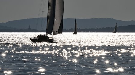 Boote segeln auf dem Bodensee. / Foto: Felix Kästle/dpa