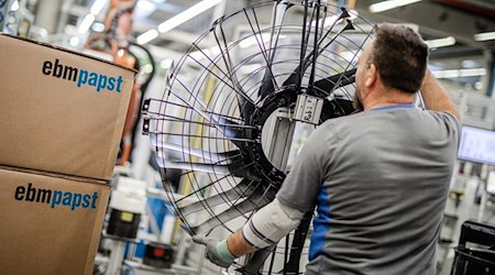 Ein Mitarbeiter des Elektromotoren- und Ventilatorenherstellers EBM-Papst, arbeitet in der Produktion an einem Ventilator. / Foto: Christoph Schmidt/dpa