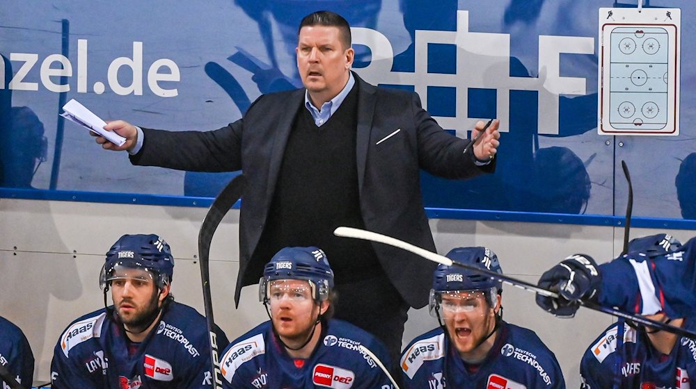 Trainer Tom Pokel von den Straubing Tigers steht hinter seiner Mannschaft. / Foto: Armin Weigel/dpa/Archivbild