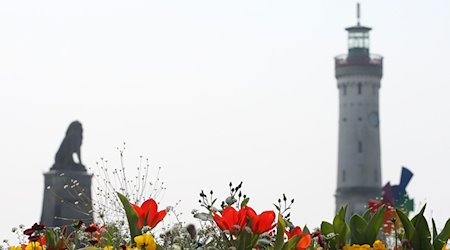 Die Skulptur des bayerischen Löwens und der Leuchtturm, die die Hafeneinfahrt von Lindau (Bayern) markierenk, stehen am 03.04.2017 hinter Frühlingsblumen. / Foto: Karl-Josef Hildenbrand/dpa/Archivbild