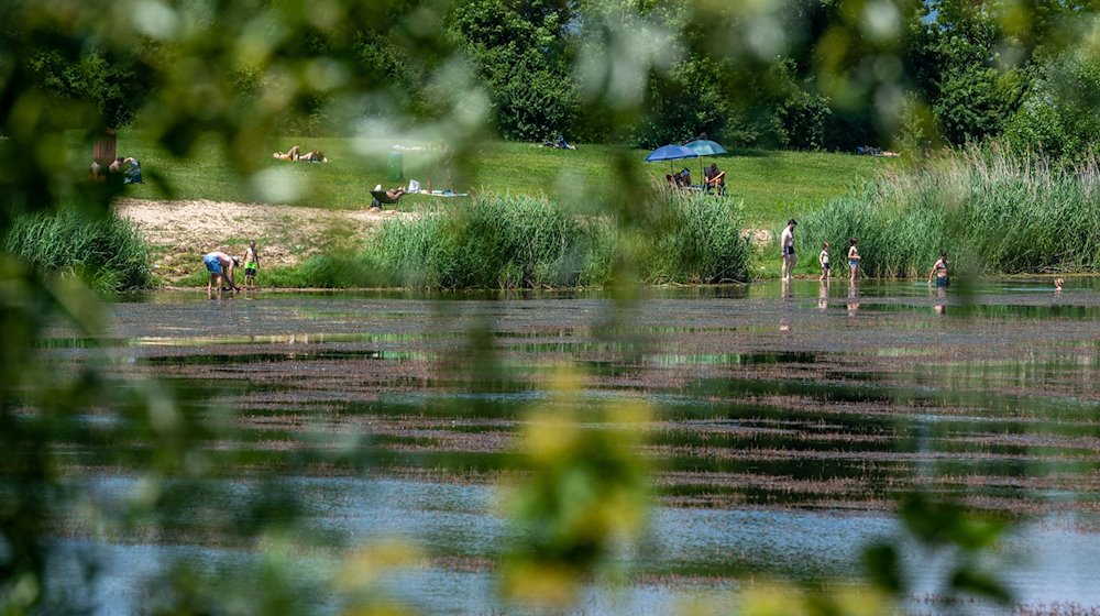 Badegäste genießen an einem See die Sonne. / Foto: Armin Weigel/dpa