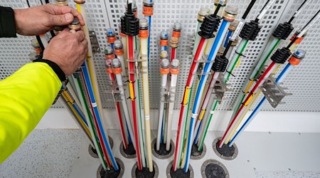 Kabel in einem PoP-Verteiler von Glasfasern. / Foto: Armin Weigel/dpa