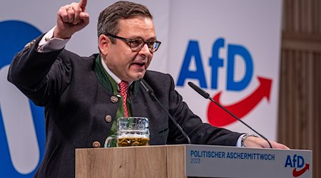 Gerald Grosz spricht beim Politischen Aschermittwoch der Alternative für Deutschland (AfD). / Foto: Armin Weigel/dpa/Archivbild