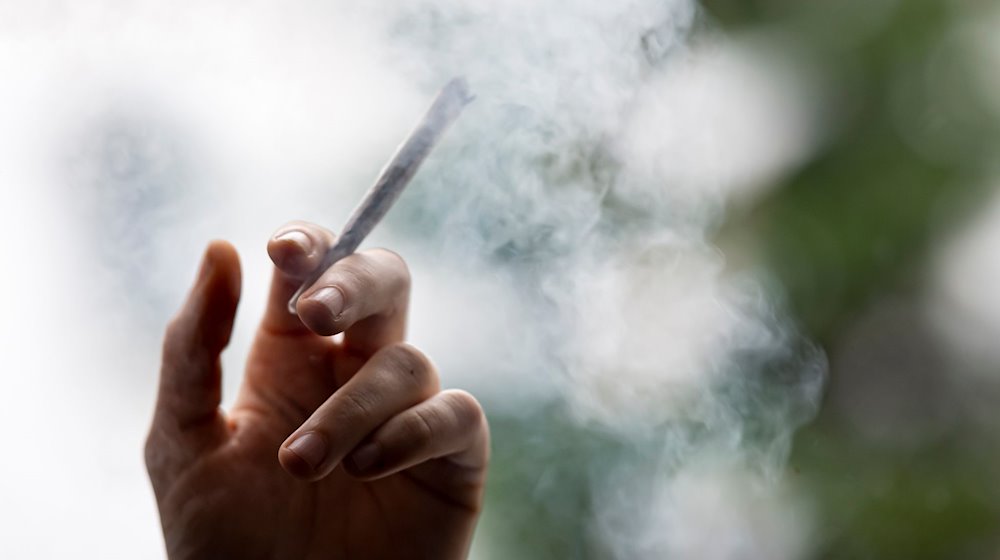 Grenzpolizei: 20 illegal eingeführte Marihuana-Pflanzen