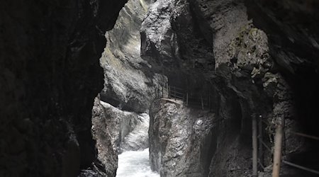 Die Partnach fließt durch die Partnachklamm. / Foto: Angelika Warmuth/dpa
