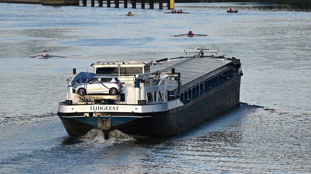 Während ein Frachtschiff Richtung Schleuse fährt, sind Ruderboote auf dem Main unterwegs. / Foto: Arne Dedert/dpa/Archivbild