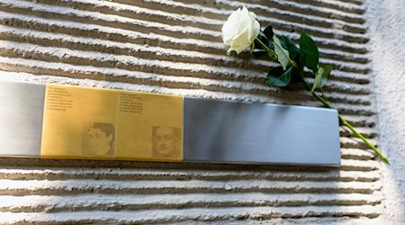 Eine weiße Rose steckt an den ersten Erinnerungstafeln für die Opfer des Nationalsozialismus in München. / Foto: Matthias Balk/dpa