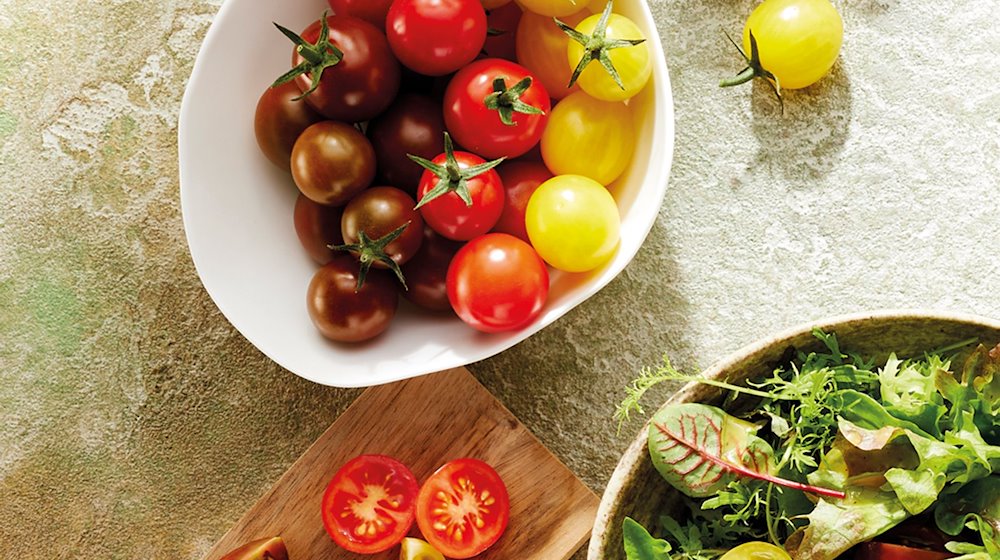 Das bayerische Gemüse des Jahres ist eine Tomatenmischung mit dem Namen Tommis Meistertrio. Das vom Bayerischen Gärtnerei-Verband (BGV) gewählte Gemüse wurde am Mittwoch in Veitshöchheim (Landkreis Würzburg) vorgestellt. / Foto: Katrin Winner/Bayerischer Gärtnerei-Verband/dpa