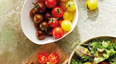 Das bayerische Gemüse des Jahres ist eine Tomatenmischung mit dem Namen Tommis Meistertrio. Das vom Bayerischen Gärtnerei-Verband (BGV) gewählte Gemüse wurde am Mittwoch in Veitshöchheim (Landkreis Würzburg) vorgestellt. / Foto: Katrin Winner/Bayerischer Gärtnerei-Verband/dpa