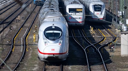 Züge stehen auf den Gleisen in der Nähe des Hauptbahnhofs. / Foto: Sven Hoppe/dpa/Archivbild