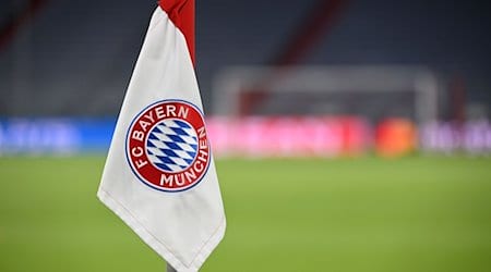 Das Vereinswappen des FC Bayern München auf einer Eckfahne. / Foto: Sven Hoppe/dpa/Symbolbild