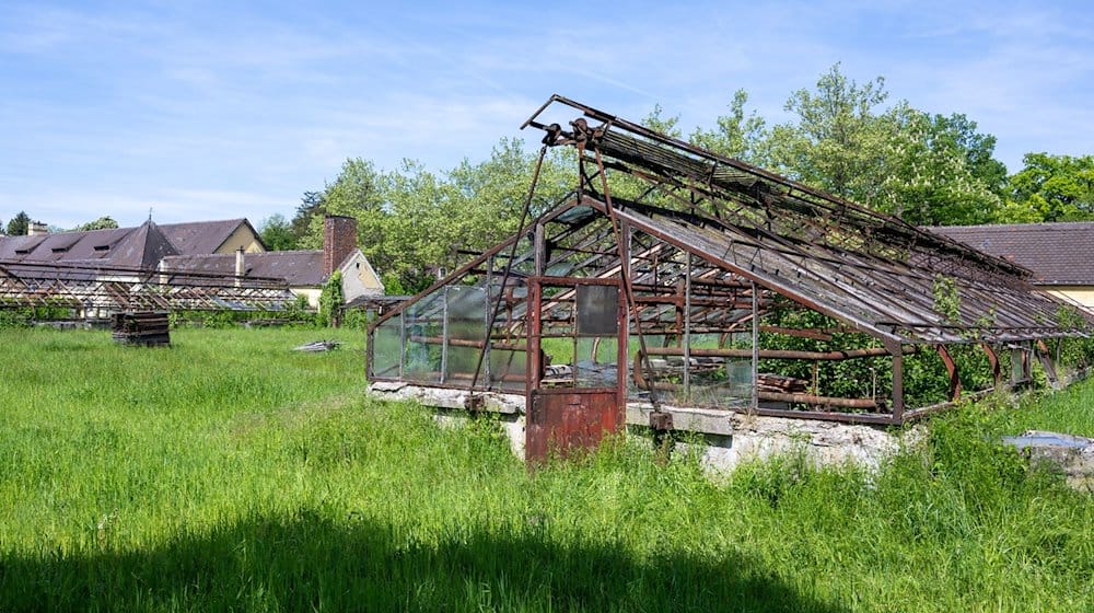 Im sogenannten «Kräutergarten» beim ehemaligen Konzentrationslager stehen verfallene Gewächshäuser. / Foto: Stefan Puchner/dpa/Produktion