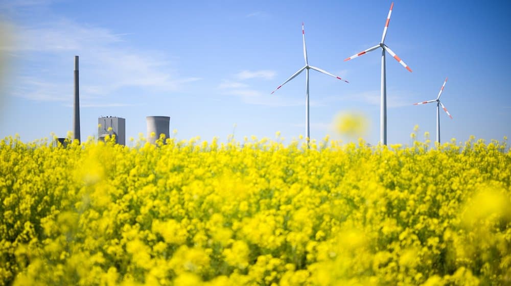 Windräder und das Kohlekraftwerk Mehrum stehen hinter einem Rapsfeld. / Foto: Julian Stratenschulte/dpa/Archivbild