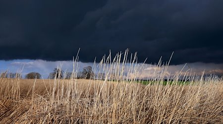 Gewitterwolken ziehen über ein Feld bei Ruderathofen. / Foto: Karl-Josef Hildenbrand/dpa