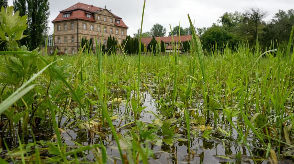 Eine Wiese vor Schloss Gleusdorf steht unter Wasser. / Foto: Pia Bayer/dpa