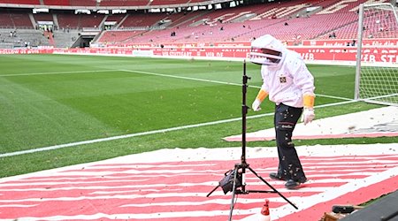 Ein Techniker versucht vor dem Spiel einen Bienschwarm zu entfernen. / Foto: Bernd Weißbrod/dpa