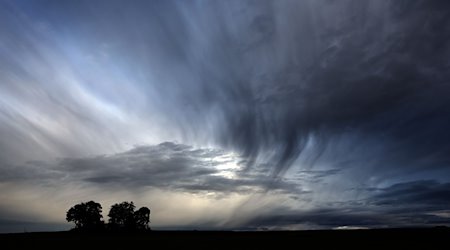 Regenwolken ziehen über eine Baumgruppe. / Foto: Karl-Josef Hildenbrand/dpa