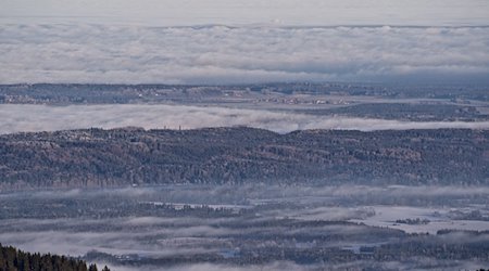 Wälder des bayerischen Alpenvorlands im Morgennebel. Die Staatsregierung fürchtet, dass die neue EU-Entwaldungsverordnung mehr Bürokratie nach sich zieht. / Foto: Carsten Hoefer/dpa