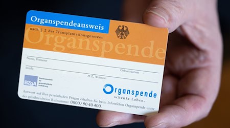 Eine Frau hält einen Organspendeausweis in der Hand. / Foto: Hendrik Schmidt/dpa