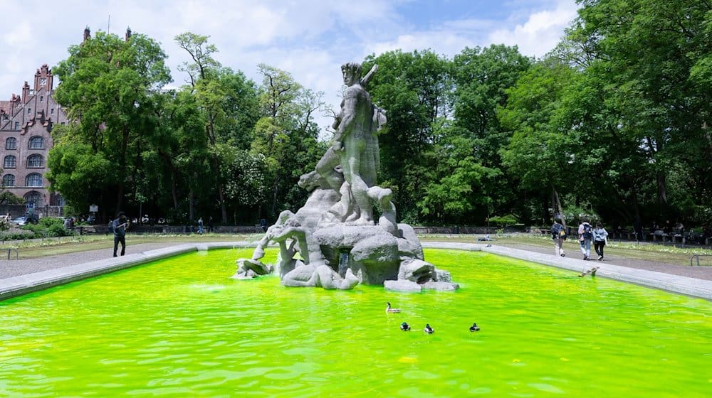 Grün gefärbtes Wasser ist in der Innenstadt im Neptunbrunnen zu sehen. / Foto: Sven Hoppe/dpa
