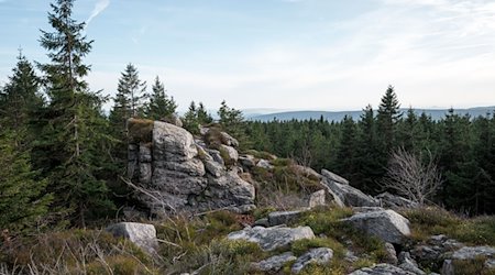 Der Ochsenkopf im Fichtelgebirge ist ein beliebtes Ausflugsziel. / Foto: Daniel Vogl/dpa