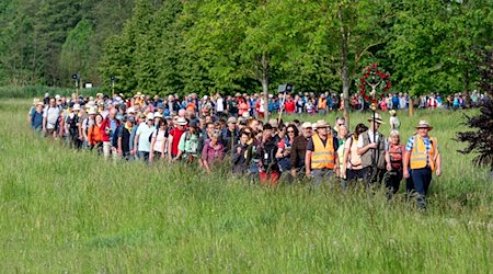 Zahlreiche Pilger starten zur größten Fußwallfahrt Deutschlands. / Foto: Armin Weigel/dpa