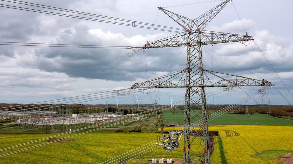 Strommasten des Netzbetreibers Tennet nahe des Umspannwerkes Conneforde. / Foto: Sina Schuldt/dpa