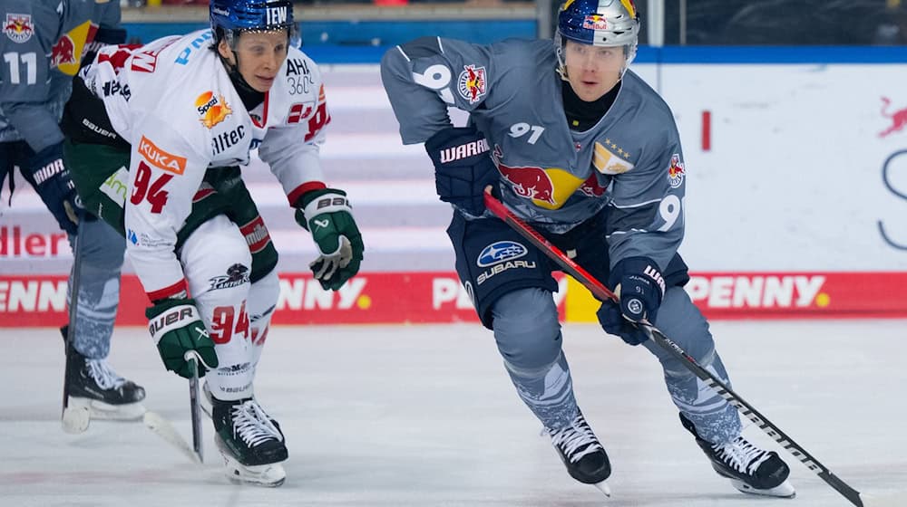 Filip Varejcka (r) von München und Anrei Hakulinen von Augsburg kämpfen um den Puck. Augsburg verlängert den Vertrag von Hakulinen. / Foto: Sven Hoppe/dpa