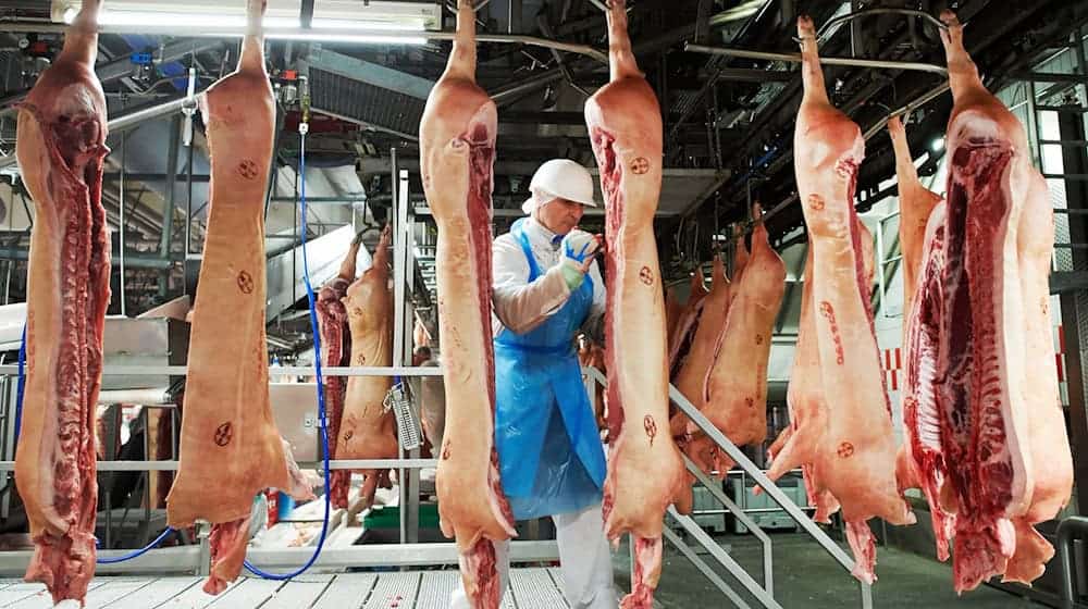 Ein Mitarbeiter des Fleischunternehmens Tönnies arbeitet im Schlachthaus in Rheda-Wiedenbrück. / Foto: Bernd Thissen/dpa