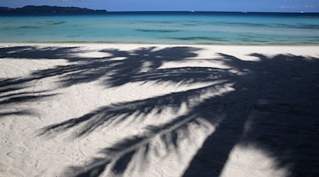 Palmen werfen Schatten auf den Strand. / Foto: Aaron Favila/AP/dpa/Archivbild