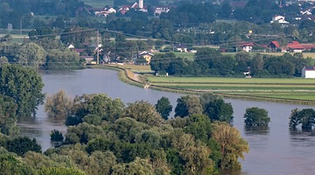 Dämme schützen vor dem Hochwasser der Donau. / Foto: Armin Weigel/dpa