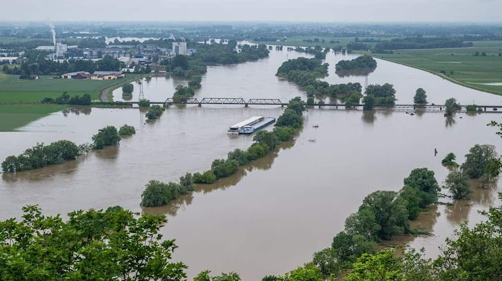 Die Donau führt Hochwasser. / Foto: Armin Weigel/dpa