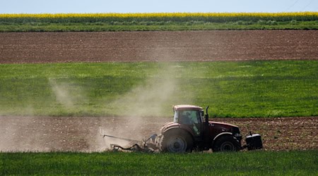 Ein Landwirt bewirtschaftet ein Feld mit einem Traktor. / Foto: Daniel Karmann/dpa