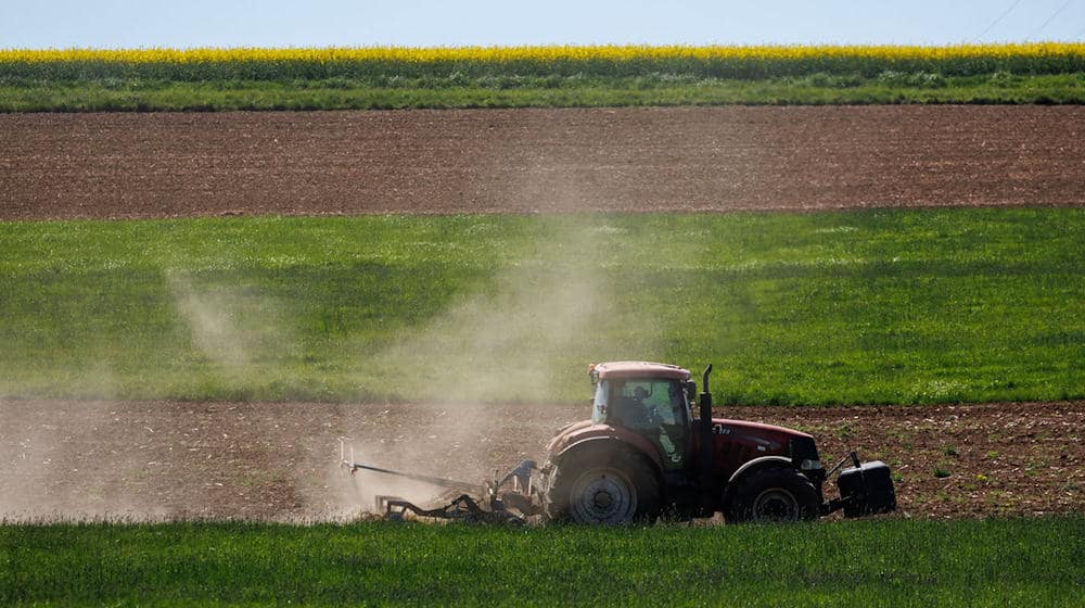 Ein Landwirt bewirtschaftet ein Feld mit einem Traktor. / Foto: Daniel Karmann/dpa