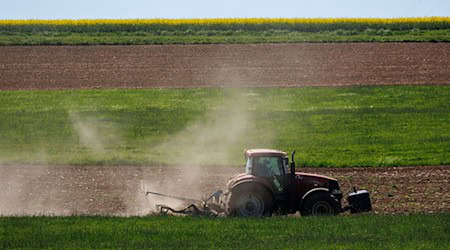 Ein Landwirt bewirtschaftet ein Feld mit einem Traktor. / Foto: Daniel Karmann/dpa