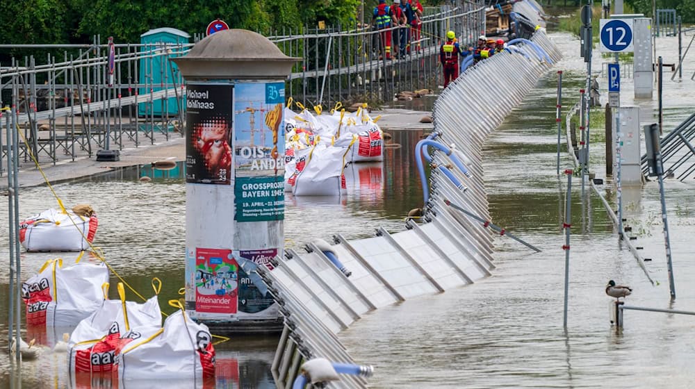 Mitarbeiter der Wasserwacht kontrollieren die provisorischen Schutzwände an der Donau. / Foto: Peter Kneffel/dpa