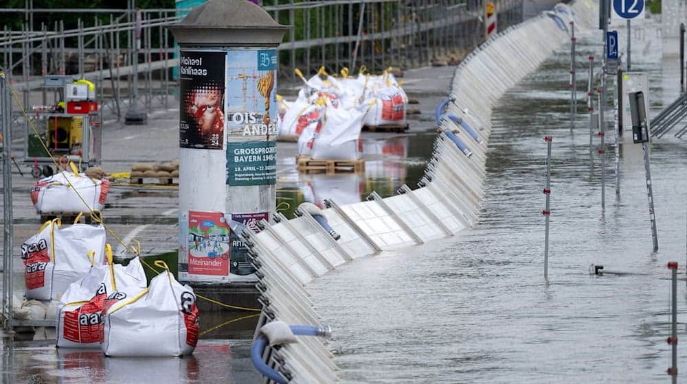 Helfer bauen Hochwasserstege und Schutzwände am Donauufer auf. / Foto: Sven Hoppe/dpa