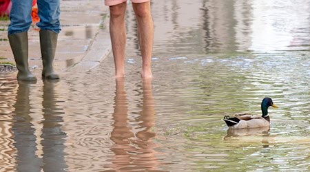 Eine Ente schwimmt bei Hochwasser in einer Gasse in der Dreiflüssestadt. / Foto: Peter Kneffel/dpa