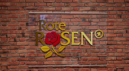 Das Logo der Telenovela "Rote Rosen" hängt im Studio an einer Wand. / Foto: Philipp Schulze/dpa