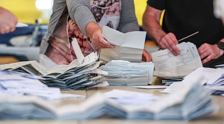 Zahlreiche Wahlhelfer sind mit der Stimmenauszählung der Briefwahlstimmen zur Europawahl beschäftigt. / Foto: Jan Woitas/dpa