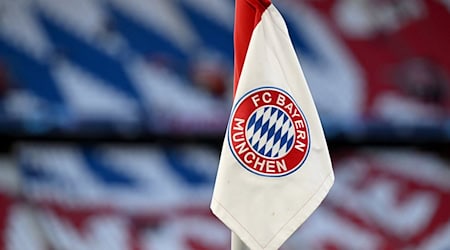 Der FC Bayern will die Zusammenarbeit zwischen Nachwuchs und Profis optimieren. / Foto: Sven Hoppe/dpa