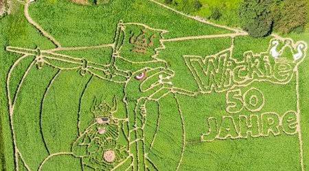 Feld-Labyrinth zeigt Wikingerschiff / Foto: Peter Kneffel/dpa