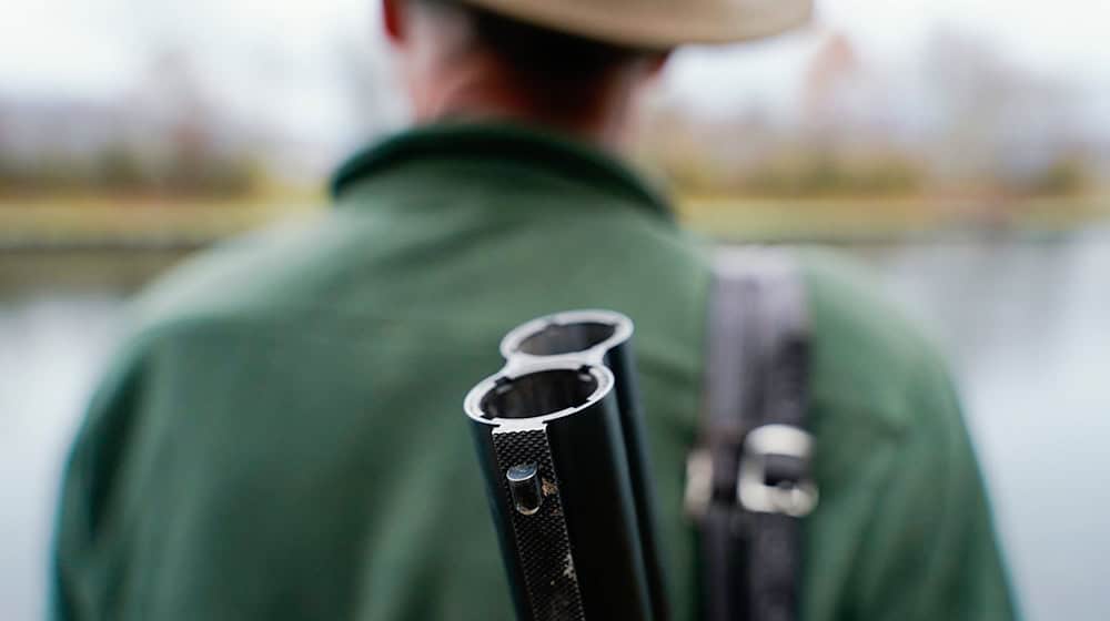 Im Bayerischen Jagdverband (BJV) gibt es erneut Streit. (Symbolfoto) / Foto: Uwe Anspach/dpa