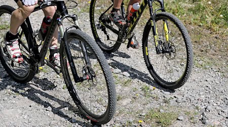 Ein 50 mal 50 Zentimeter großer Stein trifft Mountainbikerin aus Bayern (Archivbild) / Foto: Jan Woitas/dpa