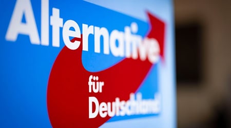 Aufsteller mit dem Schriftzug «Alternative für Deutschland» und dem Logo der AfD. / Foto: Christoph Reichwein/dpa