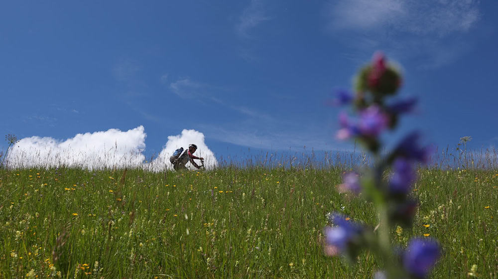 Es wird zum Ende der Woche sonnig in Bayern (Archivbild).  / Foto: Karl-Josef Hildenbrand/dpa