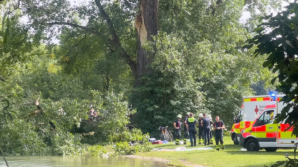 Ein Ast stürzt im Englischen Garten unerwartet herab / Foto: Katrin Requadt/dpa