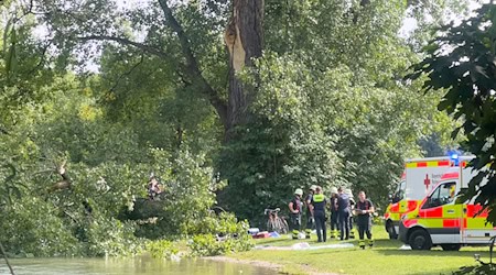 Ein Ast stürzt im Englischen Garten unerwartet herab / Foto: Katrin Requadt/dpa